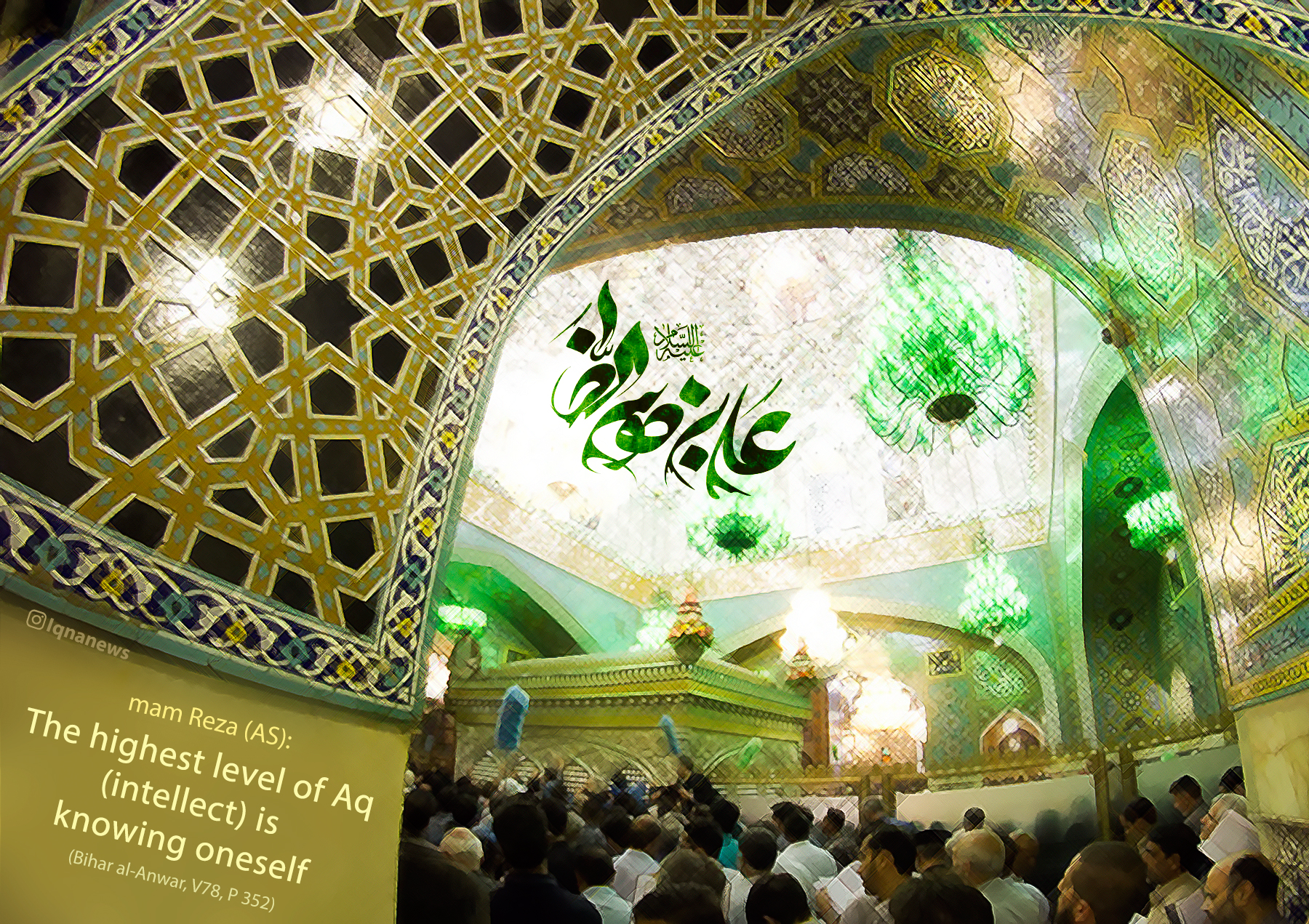 Highest Degree of Intellect in Imam Reza’s (AS) Words