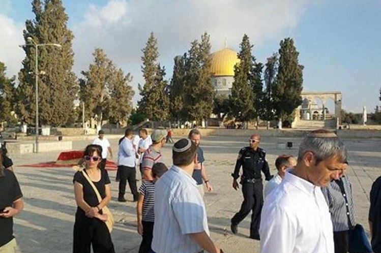 Più di 100 coloni invadono al-Aqsa